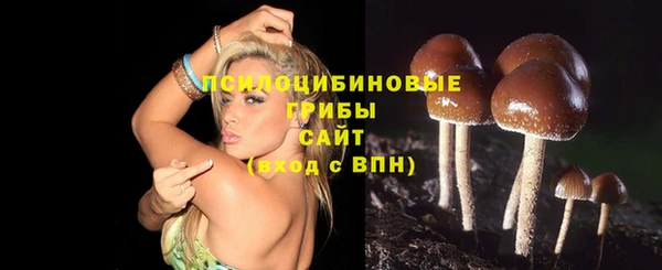 первитин Тында