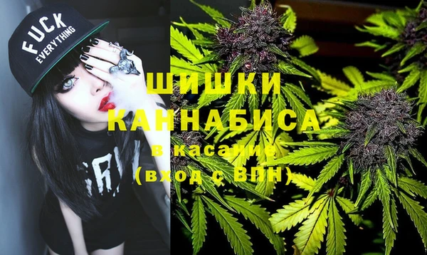 кокс Богородицк